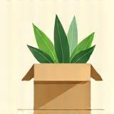 Embalagem sustentável ecológica